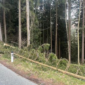 Sturm 26.und 27.03.2026