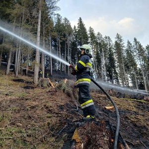 Waldbrand Feistritzwald